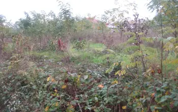 Auction image Land for building