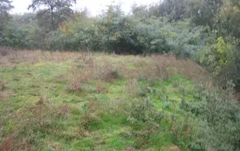 Auction image Land for building