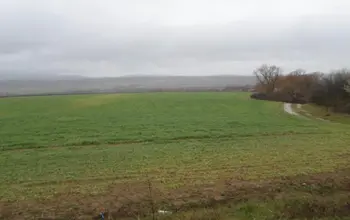 Auction image Farmland
