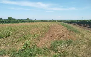 Auction image Farmland