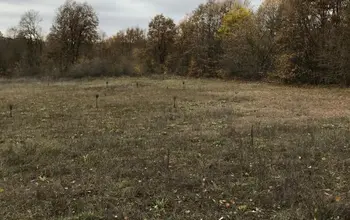 Auction image Farmland