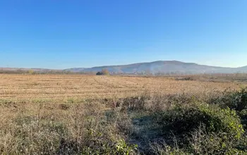 Auction image Farmland