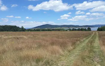 Auction image Farmland