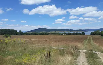 Auction image Farmland