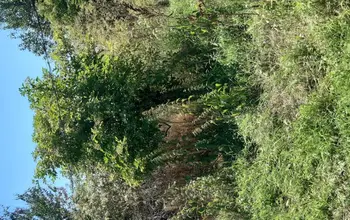 Auction image Land for building