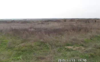 Auction image Land for building