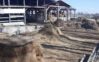 Auction image Farmland