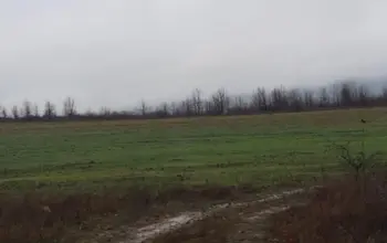 Auction image Farmland