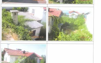 Auction image House