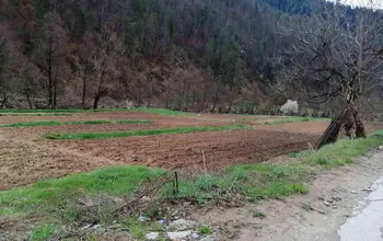 Auction image Farmland