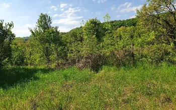 Auction image Land for building