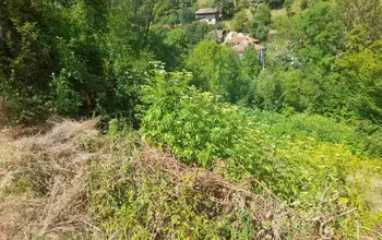 Auction image Land for building