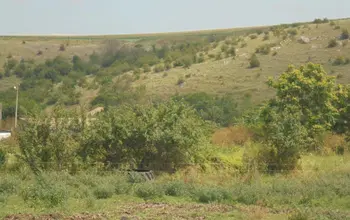 Auction image Land for building