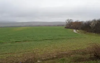 Auction image Farmland