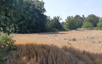 Auction image Land for building