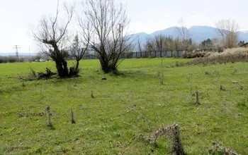 Auction image Farmland