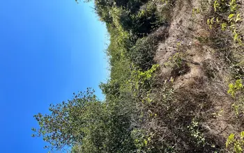 Auction image Land for building