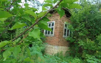 Auction image House