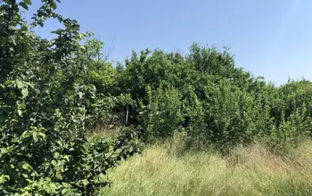 Auction image Land for building