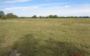 Auction image Farmland
