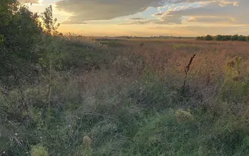 Auction image Farmland
