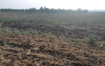 Auction image Land for building