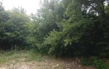 Auction image Land for building