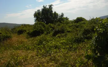 Auction image Land for building