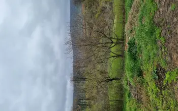 Auction image Farmland