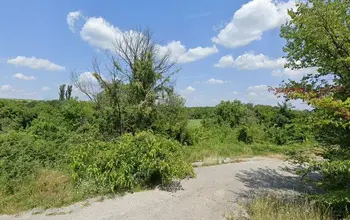 Auction image Farmland