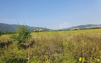 Auction image Farmland