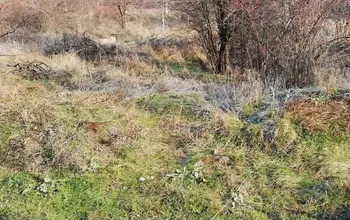 Auction image Land for building