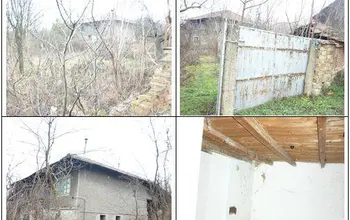 Auction image House