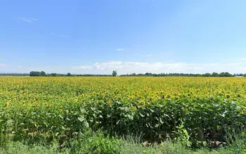 Auction image Farmland