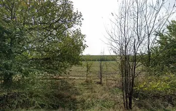 Auction image Farmland