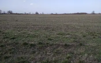 Auction image Farmland