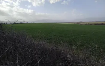 Auction image Farmland