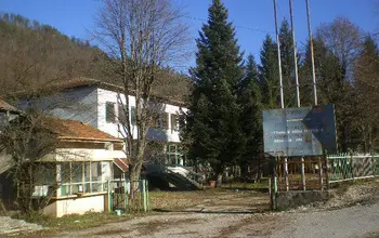 Auction image Factory, Manufacturing