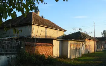 Auction image House