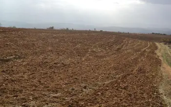 Auction image Farmland