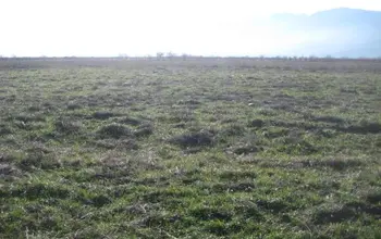 Auction image Farmland