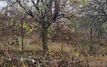 Auction image Land for building