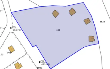 Auction image House