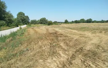 Auction image Farmland