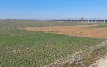 Auction image Farmland