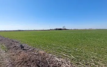 Auction image Farmland