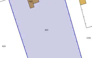 Auction image House