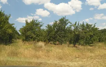 Auction image Farmland