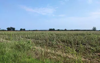 Auction image Farmland