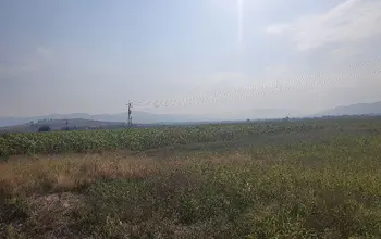Auction image Farmland